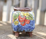 Hand-Painted Ceramic Succulent Planter Pot