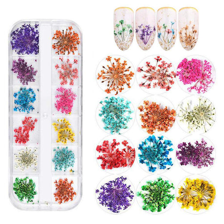 KINGMAS 12 Colors Dried Flowers for Nail Art 1 Box Dry Flowers Mini Real Natural Flowers Nail Art Supplies 3D Applique Nail Decoration Sticker Decor (A)