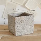 Creative Retro Concrete Succulent Planter for Table