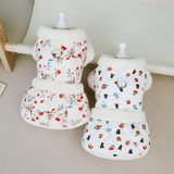 Autumn & Winter Pet Clothes