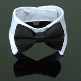 Pet Bow Tie Collar Accessories for Dogs and Cats