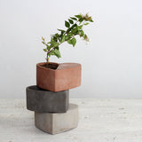 Creative Heart-Shaped Concrete Planter for Succulents