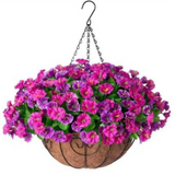 Violet Hanging Garden Basket