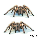 3D Spider Gecko Car Sticker for Realistic Customization