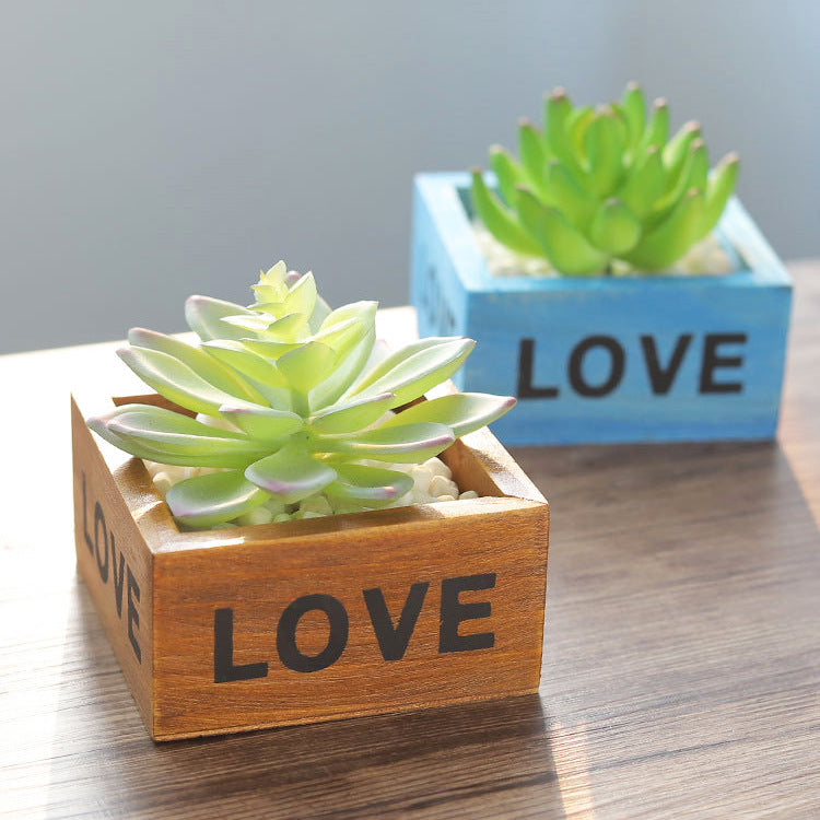 Succulent Planter with Wooden Box and Organizer