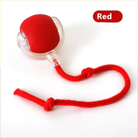 Cat Bite-Resistant Toy Ball