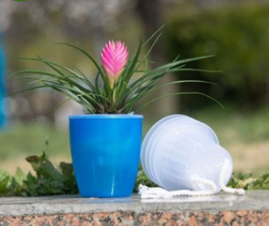 Self-Watering Planter for Green Plants and Succulents