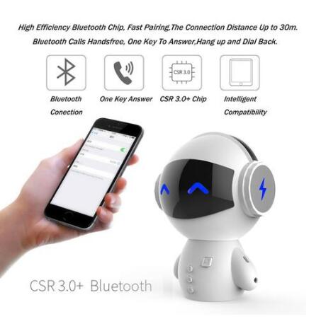 Bluetooth Portable Speaker for Computer Use