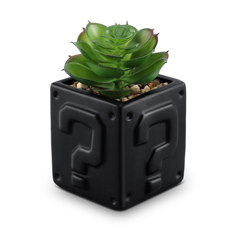 WOODWORD Fake Succulents Plants Artificial with Question Pattern Black Ceramic Pot for Bathroom Bedroom Home Office Desk Shower Decor Aesthetic Indoor - Set of 1