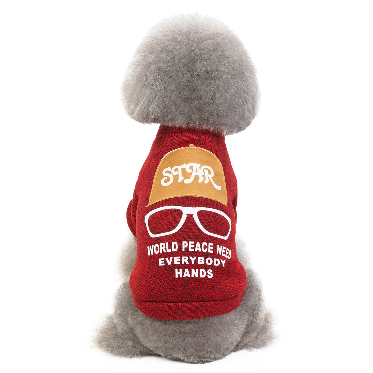 Pet Cat and Dog Apparel - Teddy Sweater and Accessories