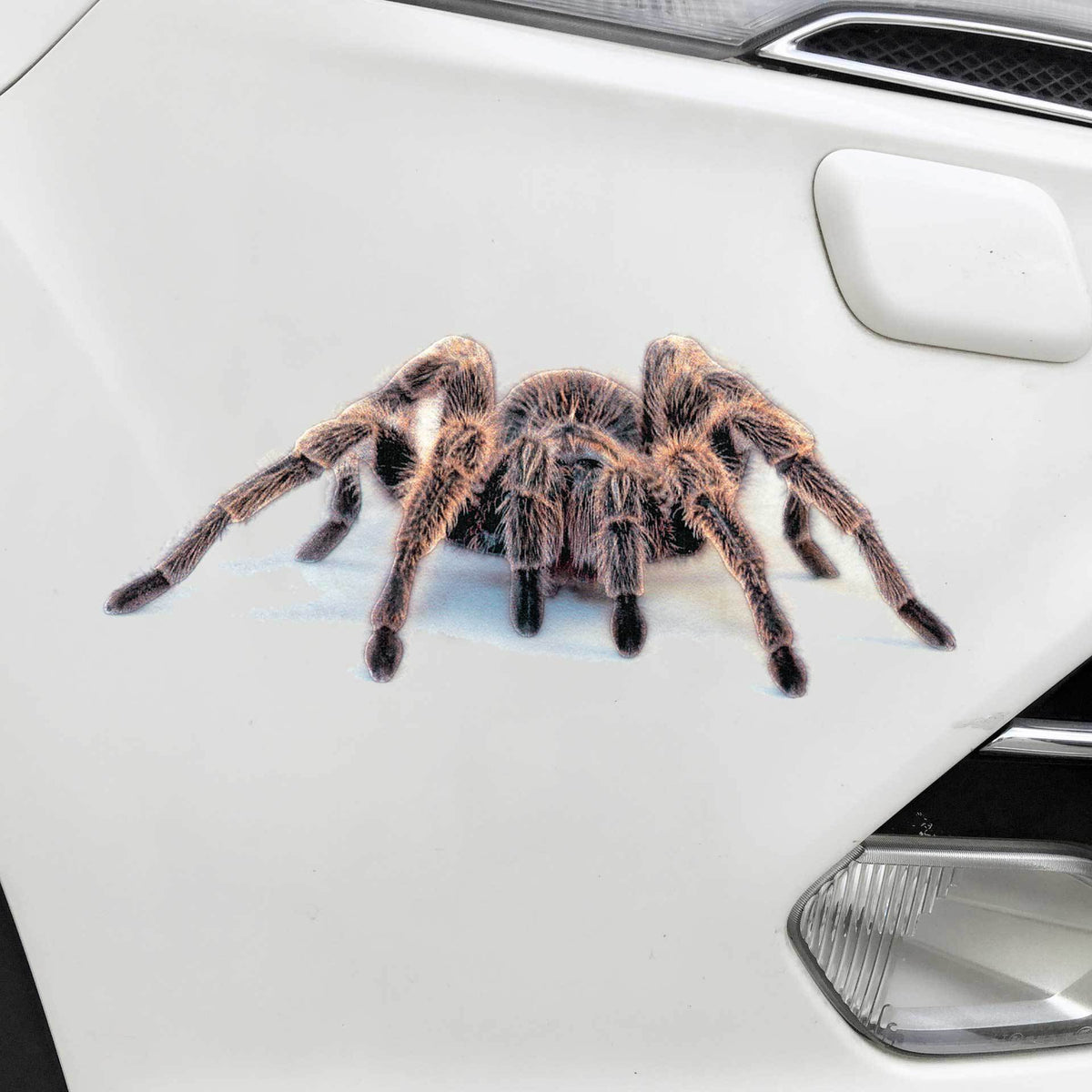 3D Spider Gecko Car Sticker for Realistic Customization