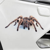 3D Spider Gecko Car Sticker for Realistic Customization