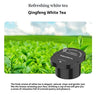 Car Fragrance Diffuser