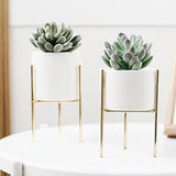 Ceramic Planter for Succulents and Plants