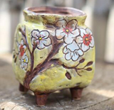 Hand-Painted Ceramic Succulent Planter Pot