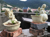 Resin Angel Planter for Succulents and Mini Gardens