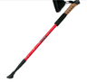 Walking Stick, Hiking Cane, Trekking Pole