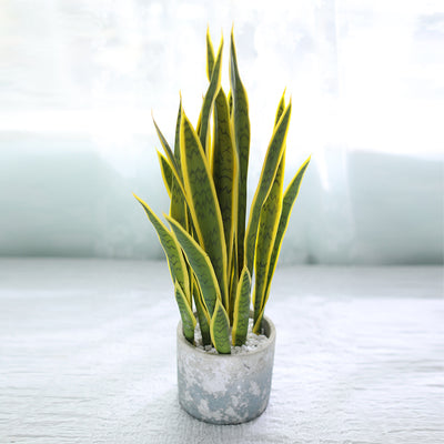 Nordic Faux Potted Plant for Home Decor (Tabletop)