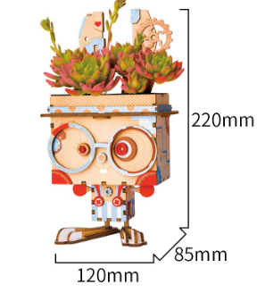 DIY Wooden 3D Puzzle with Succulent Planter
