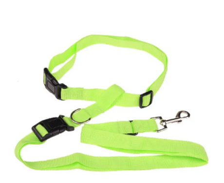 Pet Car Safety Seat Belt