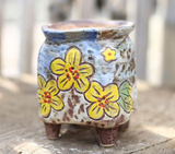 Hand-Painted Ceramic Succulent Planter Pot