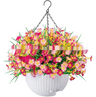 Violet Hanging Garden Basket