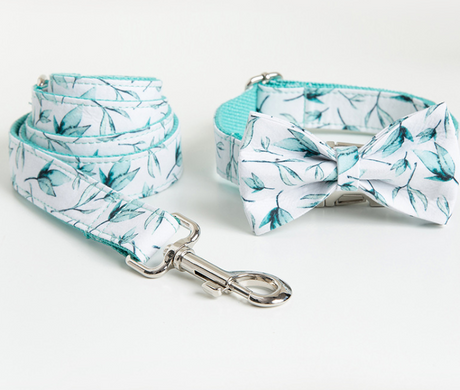 Pet Leash