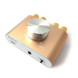100W Bluetooth Amplifier for Home and Car Use