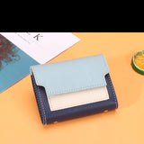 Large Capacity Card Storage Organizer