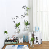 Iron Art Wall Planter with Transparent Glass Vase