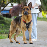 Pet Chest Vest  Strap