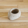 Creative Retro Concrete Succulent Planter for Table