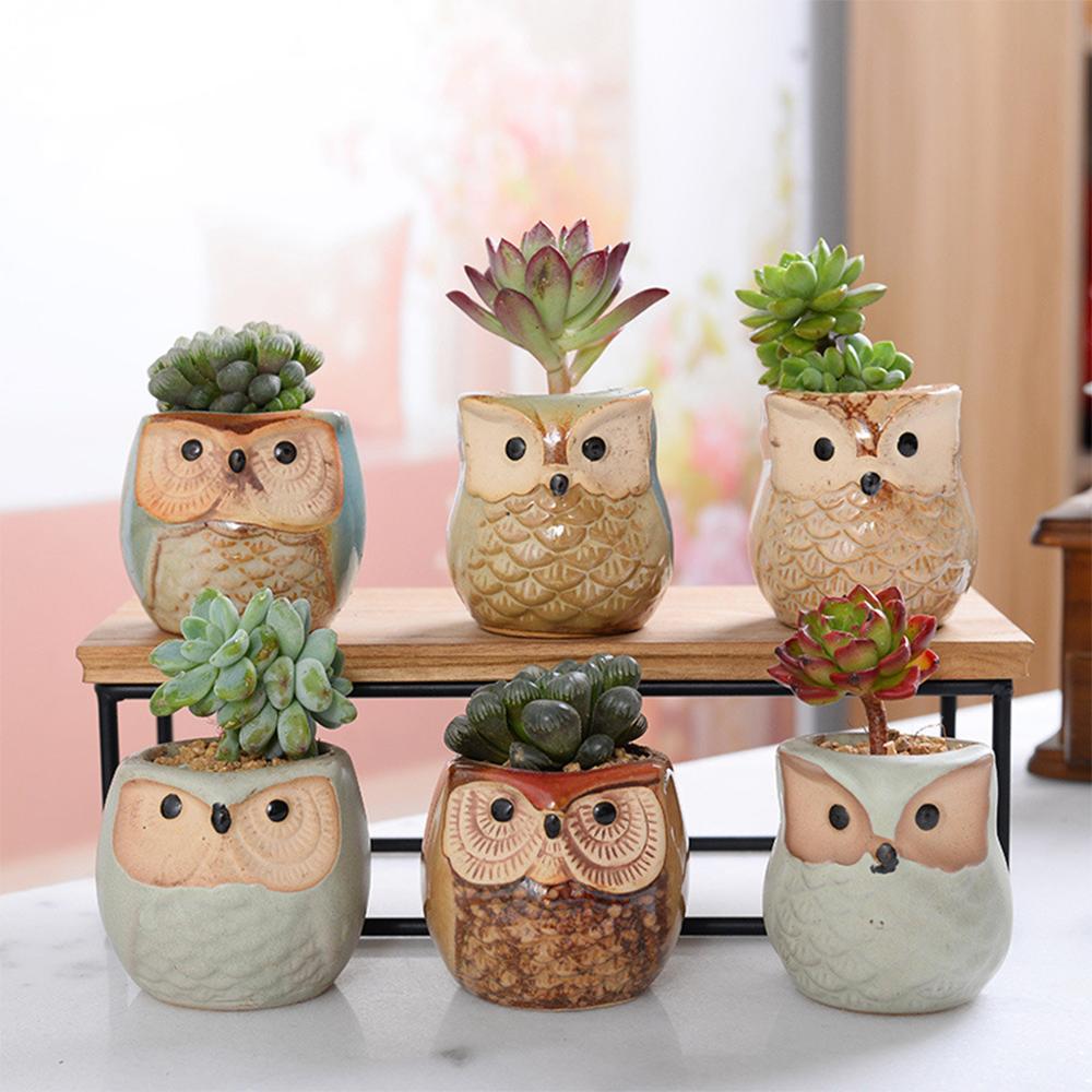 Owl Thumb Planter, Hand-Painted Ceramic Succulent Pot
