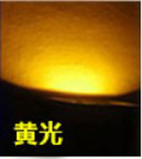 RGB LED Landscape Lighting for Outdoor Parks and Lawns