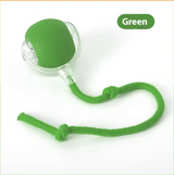 Cat Bite-Resistant Toy Ball
