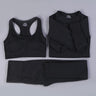 2/3PCS Seamless Women Workout Sportswear - Atlantic Shopping Mall