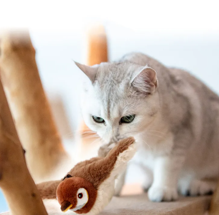 Pet Plush Toy