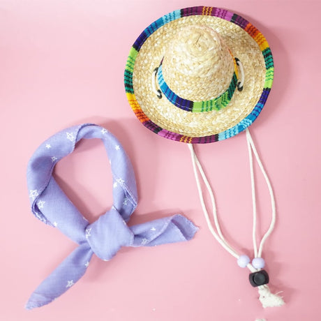 Summer Outing Set for Pet Accessories