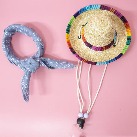 Summer Outing Set for Pet Accessories