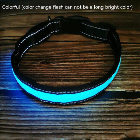 Reflective LED Dog Collar with Leather and Ribbon Design