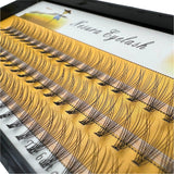 Caramel Brown YY Eyelash Extensions 0.05 Thickness