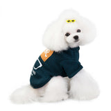 Pet Cat and Dog Apparel - Teddy Sweater and Accessories