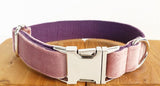Adjustable Pet Dog Collar