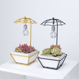 Modern Creative Umbrella Light Bulb Planter Set