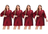 PERFEHAIR Salon Client Gown Cape Pack of 4 Hairdressing Robes Smock for Hair Stylist to Hair Cutting Hair Coloring Makeup-Red