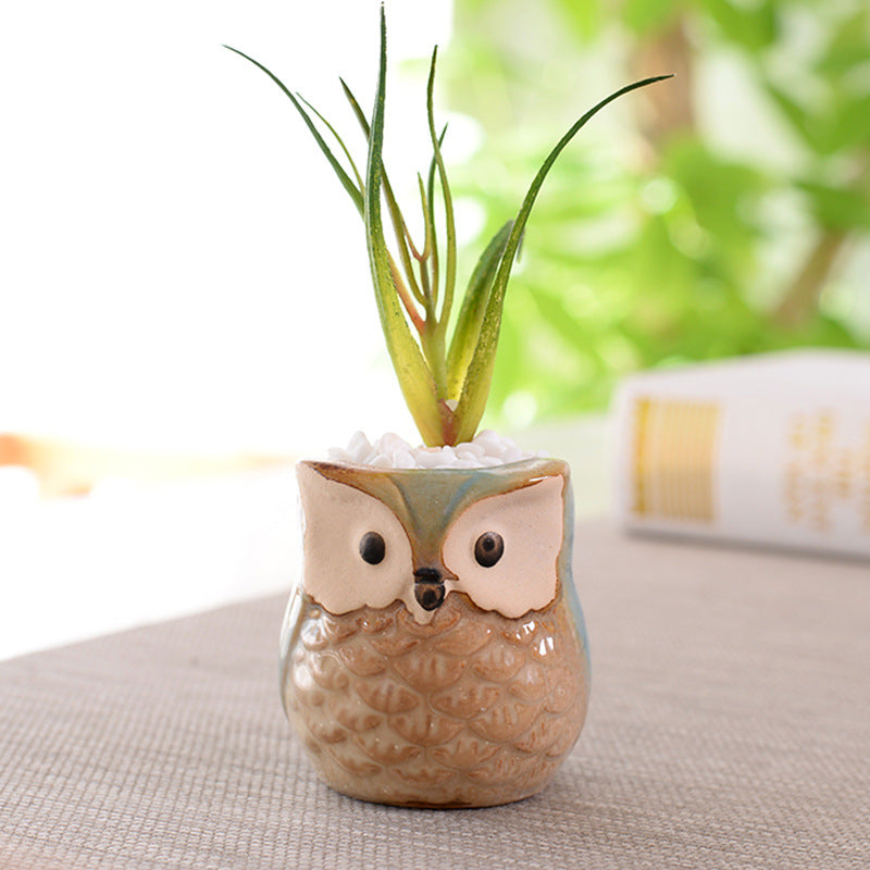 Owl Thumb Planter, Hand-Painted Ceramic Succulent Pot