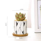 Geometric Ceramic Succulent Planter - Nordic Style