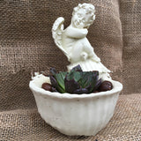 Resin Angel Planter for Succulents and Mini Gardens