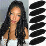 Afro Twist Hair 24Inch 6Packs Springy Afro Twist Hair Pre Fluffed Spring Twist Hair Marley Twist Braiding Hair for Women (1B# 24 Inch)