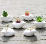 Ceramic Succulent Planter with Shell Design